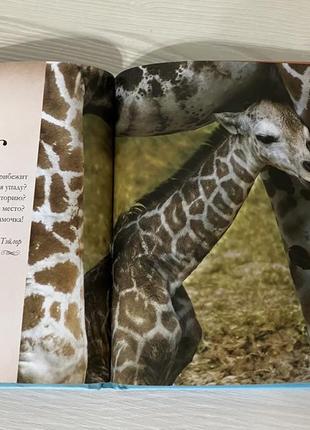 Книга я люблю тебя мамочка!