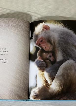 Книга я люблю тебя мамочка!