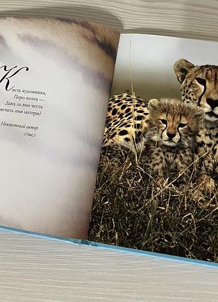 Книга я люблю тебя мамочка!