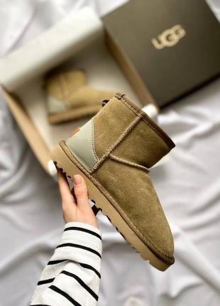 Угги ugg classic mini grey suede