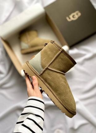 Уггі ugg classic mini mokko suede