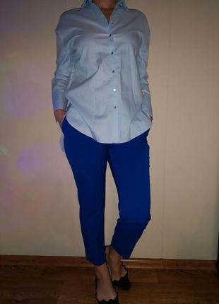 Брюки zara