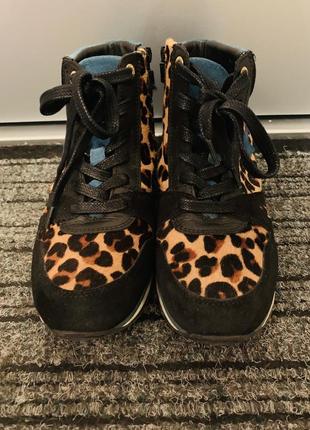 Кросівки pantofolo d&oro