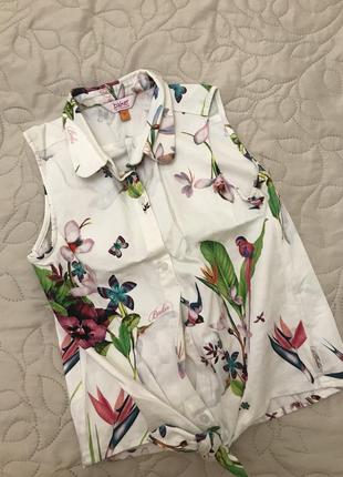 Блуза нова брендова