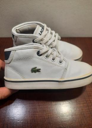 Детские. кожаные.высокие оригинальные. кроссовки lacoste, хайтопы, размер 24