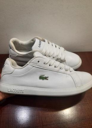 Оригинальный, кроссовки lacoste, размер 36