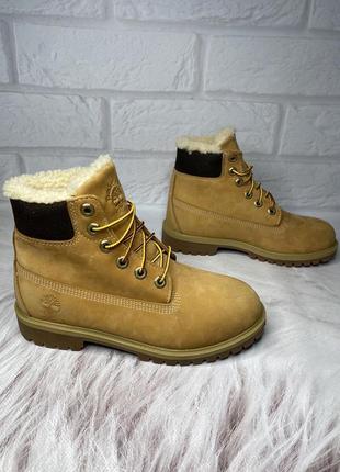 Зимові черевики *timberland* premium 6 inch winter з waterproof💧 tl18421 фото