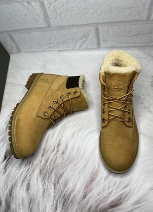 Зимові черевики *timberland* premium 6 inch winter з waterproof💧 tl18422 фото