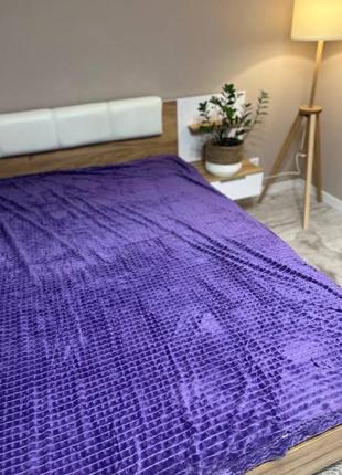 Велюровий двосторонній плед