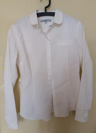 Белая рубашка блуза1 фото