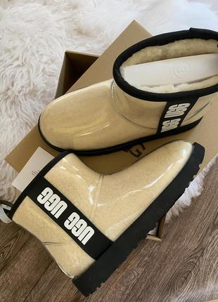 Чоботи Ботинки женские ugg