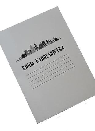 Книга  канцелярська  48 листов линия, 30*20см, тм колорит, украина