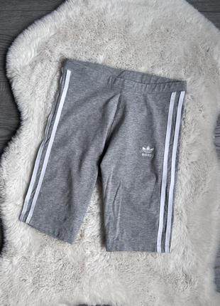 Adidas женские спортивные шорты велосипедки р. xs оригинал адидас