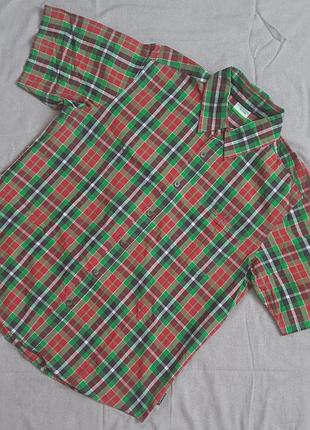 Чоловіча сорочка kilimanjaro