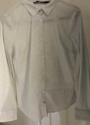 Zara базова рубашка в горох крапку4 фото