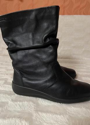 Сапоги женские hotter