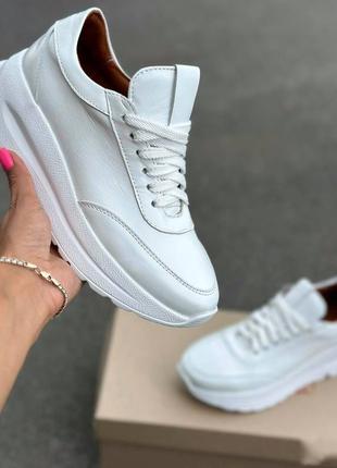 36-41 рр кросівки натуральна шкіра/замша на платформі білий, бежевий, чорний, червоний, лаванда