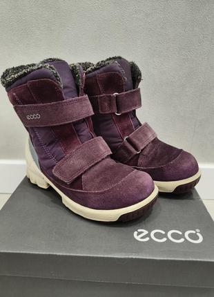 Зимние сапоги ecco biom hike р. 30