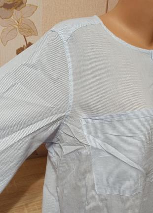 Котонова легенька блузка хб на довгому рукаві 566 фото