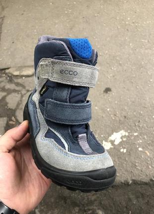 Сапожки зимние ecco gore tex , тёплые