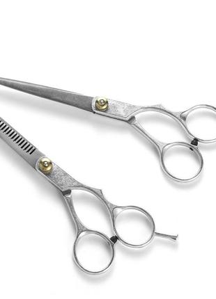 Професійні салонні перукарські ножиці для стрижки з нержавіючої сталі, 2 шт