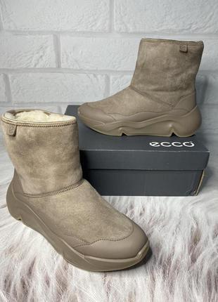 Жіночі, зимові черевики *ecco chunky sneaker w*