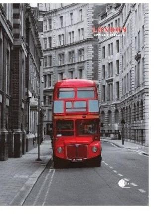 Ділова книга а4   96 арк city note-4  обкл.тверда  клітинка  (1) london тм артпринт