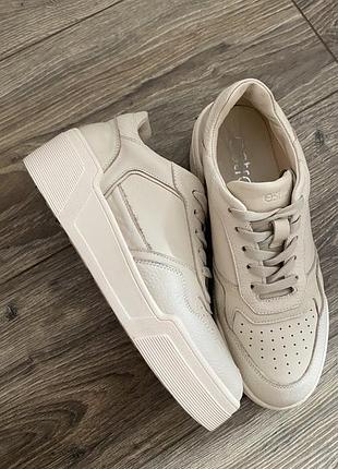 Кроссовки кеды estro