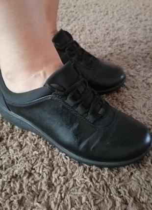 Красовки clarks