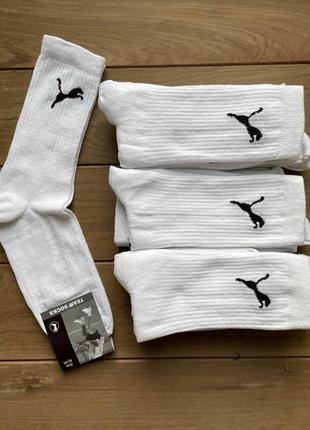 Оригінальні шкарпетки nike/jordan/adidas/chempion5 фото