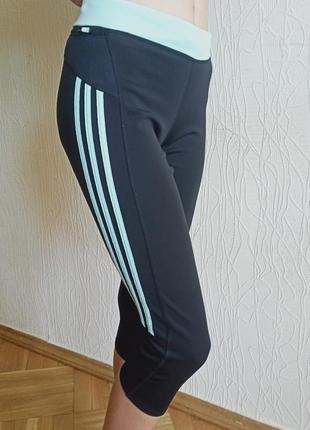 Спорт.бриджики adidas
