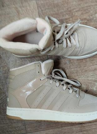 Хайтопи кросівки кеди adidas
