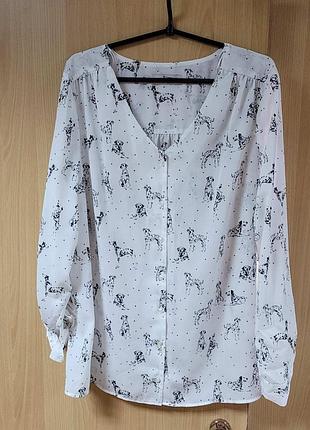 Блуза.принт собачки.