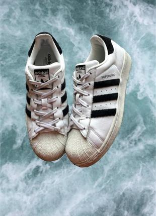 Шкіряні кросівки adidas mauve superstar оригінальні білі