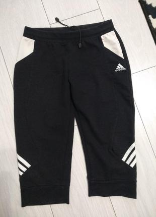 Шорти для спорту легінси adidas