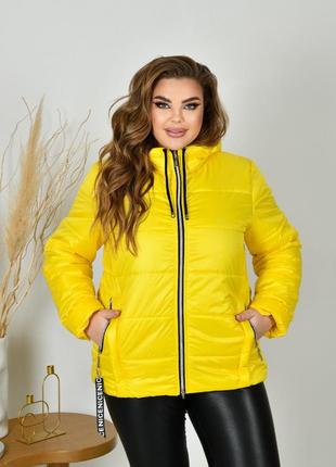 Женская куртка, весна осень, батал 50-64 размеры