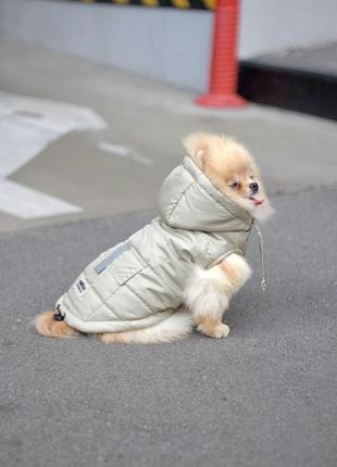 Жилет для собак и котов карман подклад синтепон на кнопках унисекс