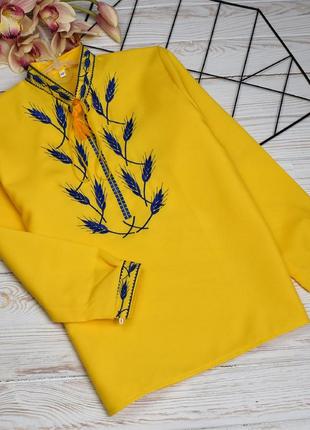 Вишиванка на хлопчика "колоски жовто сині"