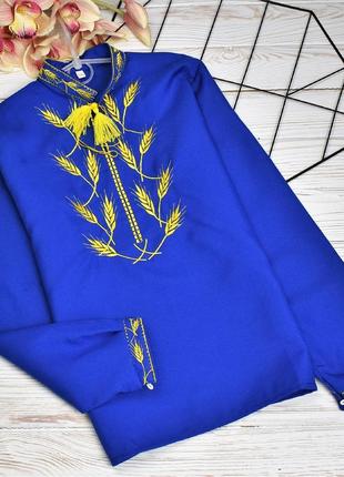 Вишиванка на хлопчика "колоски синьо-жовті"