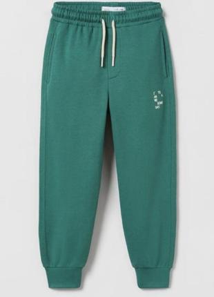 Штани джогери