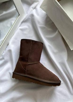 Уггі ugg classic tall i| boot brown