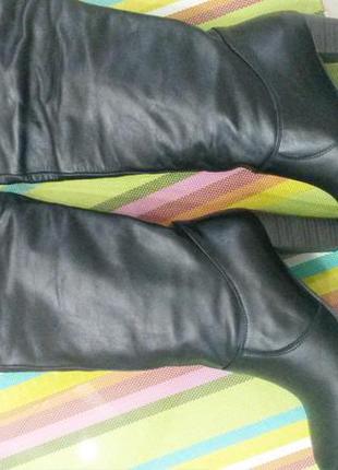 Сапоги натур. кожа