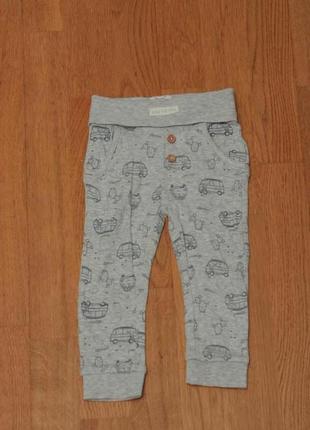 Комплект хлопковых штанишек для мальчика cool club4 фото