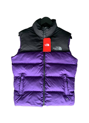 Чоловіча жилетка the north face purple core black.