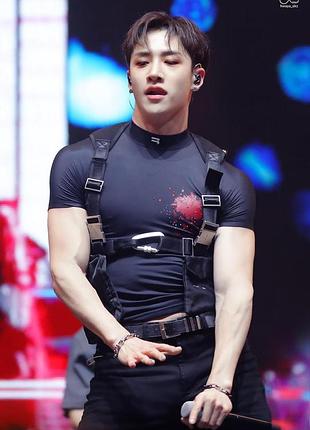 Плакат постер k-pop бан кристофер стрей кидс bang chang stray kids art 2