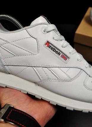 Кросівки reebok classic чоловічі білі