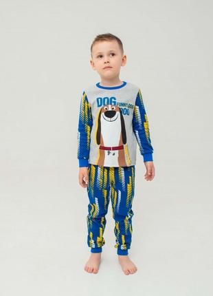 Детская пижама | 100% хлопок | демисезон | 92 | очень приятная к телу для хлопчика smil 104523 сірий меланж із синім