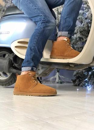 💥акція💥чоловічі черевики уггі, ugg neumel brown, зимові коричневі, з хутром4 фото