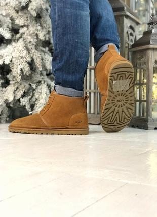 💥акція💥чоловічі черевики уггі, ugg neumel brown, зимові коричневі, з хутром9 фото