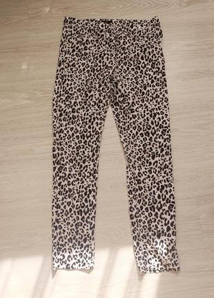 Лосины лосины брюки леопард штаны подарок подарок